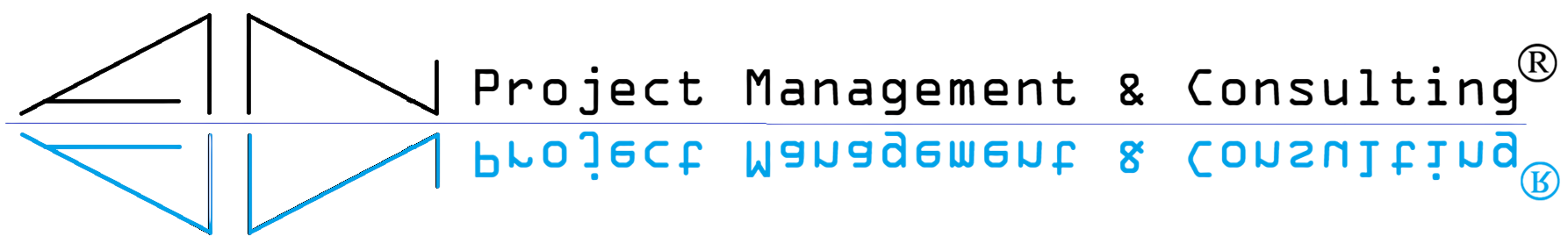 AN Project Management & Consulting logo